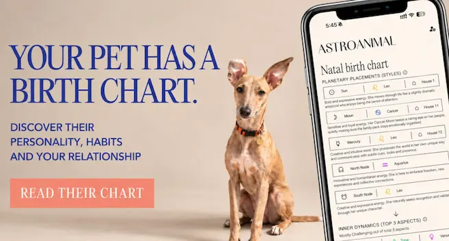 AstroAnimal: the first pet astrology app