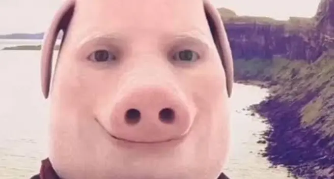 [EASY] POST TIKTOK MEMES