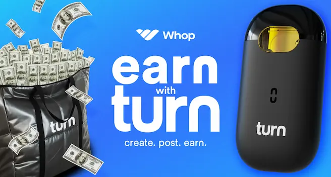 turnONE // $2 per 1,000 views