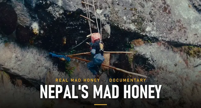 Honey Hunters of the Himalayas, Doc Clips