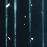 Crowd and stage lights at live show at 0:07