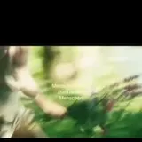 Natur-B Roll mit Slogan über Menschenrechte at 0:15