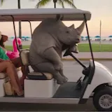 Men in a purple G-Wagon spot a rhino mascot driving a golf cart at 0:12