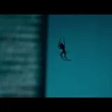 Crawlers horror film trailer with spiders at 0:01