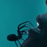 Vertical trailer for spider horror film Crawlers at 0:20